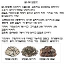 자연초농산