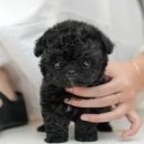 송이로14길 이미지