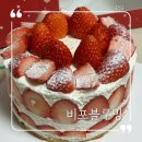 홍대 연남동 딸기케이크 맛집 추천 (내돈내산) : 비포블루밍