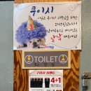 쿠이시 이미지