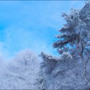 삼가-21 이미지