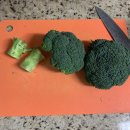 브로콜리 펫푸드 이미지