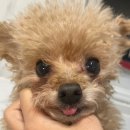 지에스 25 여수이순신점 이미지