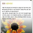 보찾사 이미지
