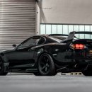 태평양카독크 이미지