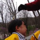 새충북어린이집 이미지