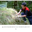 진주성 삼거리 | 천재 여류시인 운초 김부용을 이야기하려면 봉조하 김이양 대감을 떠올리지 않을 수 없다.김헌규 기자...