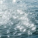 오복민박 이미지