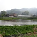 신장소류지 이미지