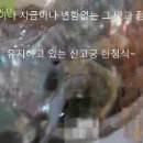 군산한정식 신고궁 군산상견례 군산한정식맛집 군산상견례맛집 신고궁한정식 이미지