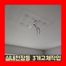 오남푸르지오일원(진건오남로) | 실내천장등 3개교체작업