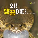 맹꽁이 이미지