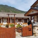 도담이네 이미지