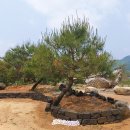 용담리70번지 이미지