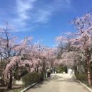 성남네거리 이미지