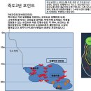 죽도 등대 Daum카페