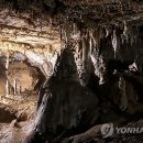 산호동509 이미지