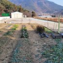 인해농원 이미지