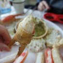 대모회센타 이미지