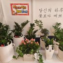 그날;그꽃 이미지
