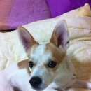 이나마트 이미지