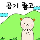 닥터크린 - 북구 제내1길 2 | 닥터크린