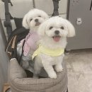 금동네 사랑방 네이버블로그