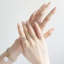 샤네리 쇼핑하우