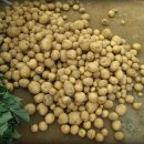 우애농장 이미지