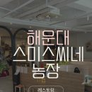 한씨농장 | 해운대 맛집 스미스씨농장 주차｜브레이크타임 없는 레스토랑 솔직후기