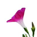 광주체육고등학교 이미지