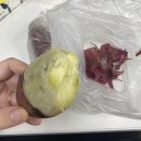 고려대학교 심리융합과학대학원 이미지