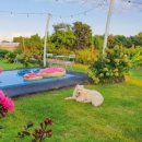 느링느링스테이 이미지