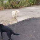 새운농장 이미지