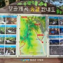 소바위길 Daum카페