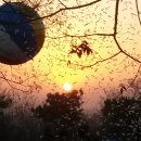 천을산 해맞이 이미지