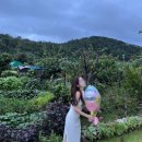 은현당 | 울산 촌캉스 숙소 &#39;은현당&#39;/ 브라이덜샤워 후기