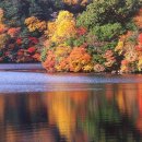 아름다운 꿈 이미지