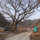 신대1리경로당 이미지