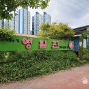 영일관굴비
