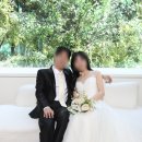 한*봉 | 봉스튜디오 웨딩촬영 후기 - 그리너리한 통창씬 후기