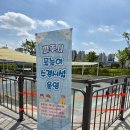 티하우스운정 | 2026 운정중앙공원 물놀이장 무료 물놀이 후기 운영기간/운영시간/장소