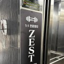 제스트핏 피티샵 이미지