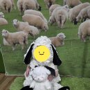 뽀짝뽀짝 | 롯데마트 맥스 목포점 문화센터 뽀짝 추천 후기