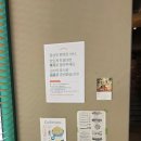 우리동네 | [포항 양덕맛집] 아이랑 가기좋은 우리동네 브런치카페 "인브리즈"