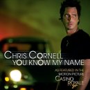 Chris Cornell - You Know My Name 이미지