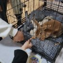 사선대농장 이미지