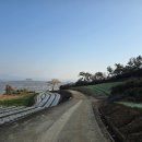 황토갯벌랜드1 이미지