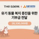 샘 이미지