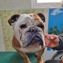 염치약국 이미지